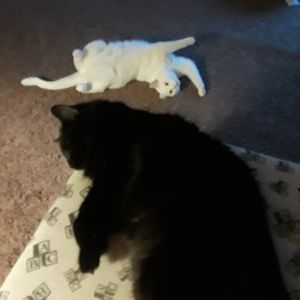 Meet your Posher, Mariah